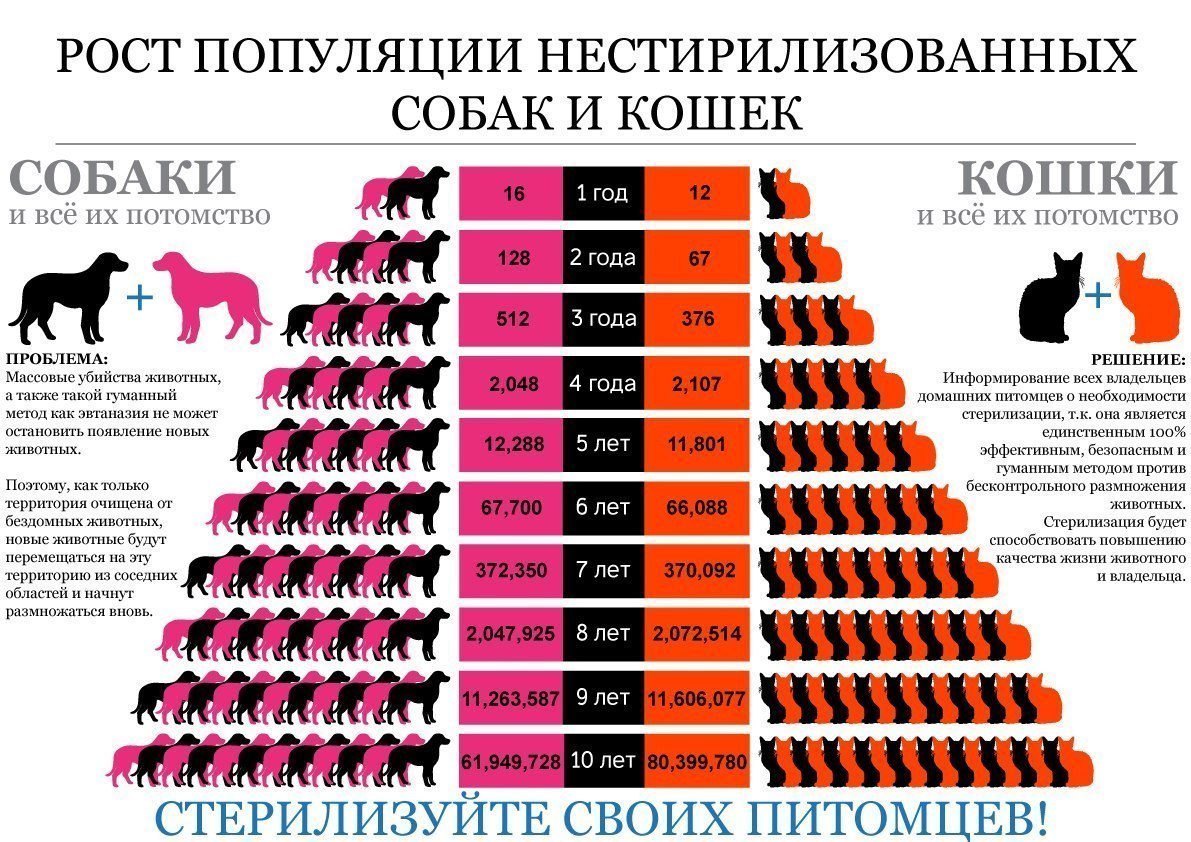 Баннер
