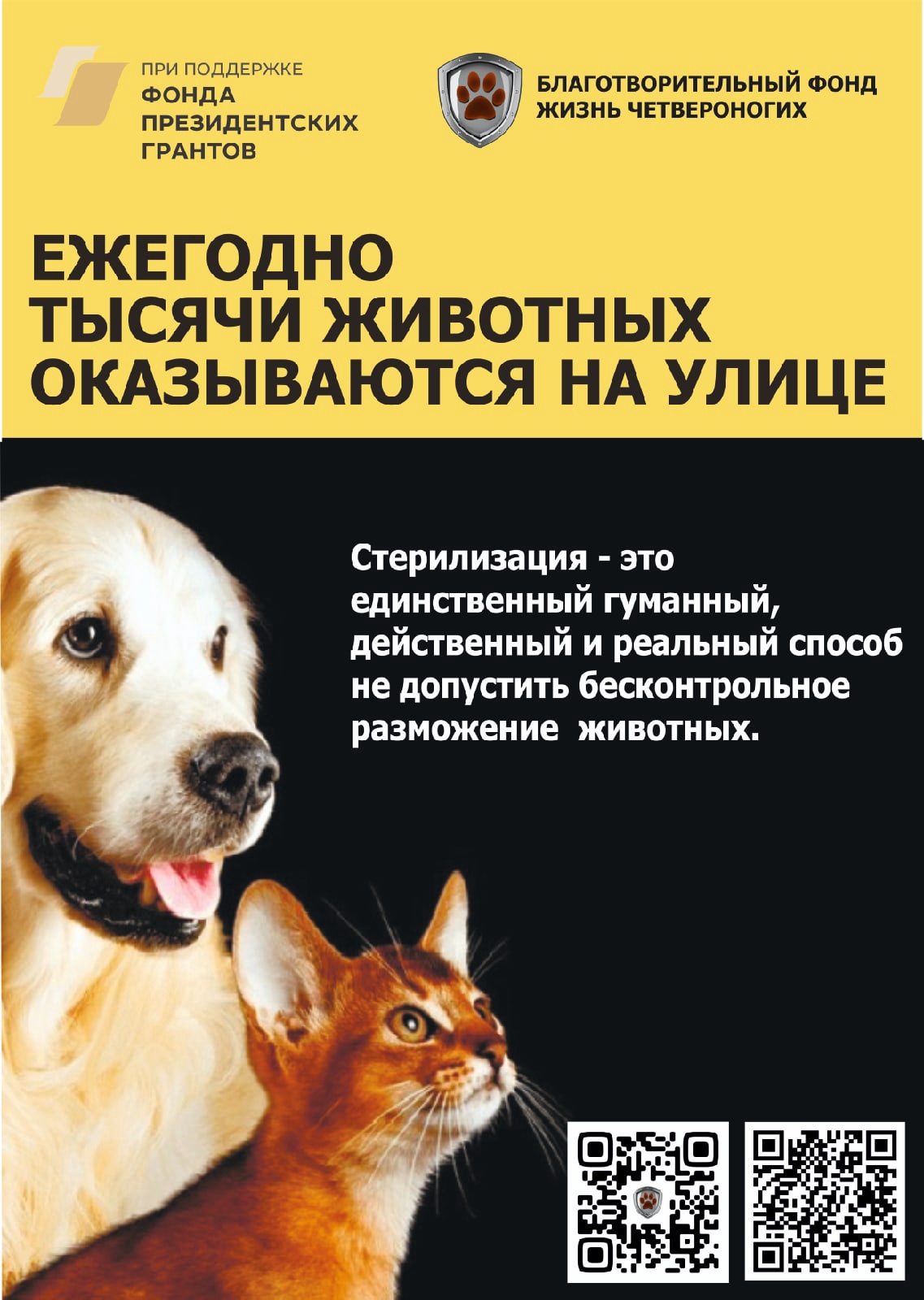 Баннер