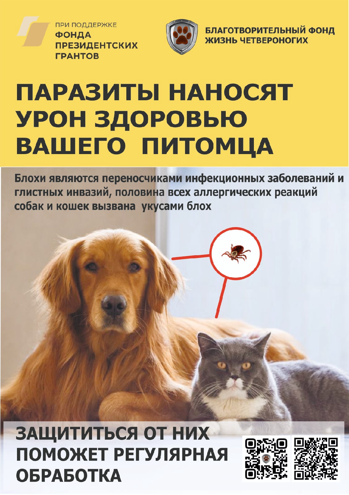 Баннер
