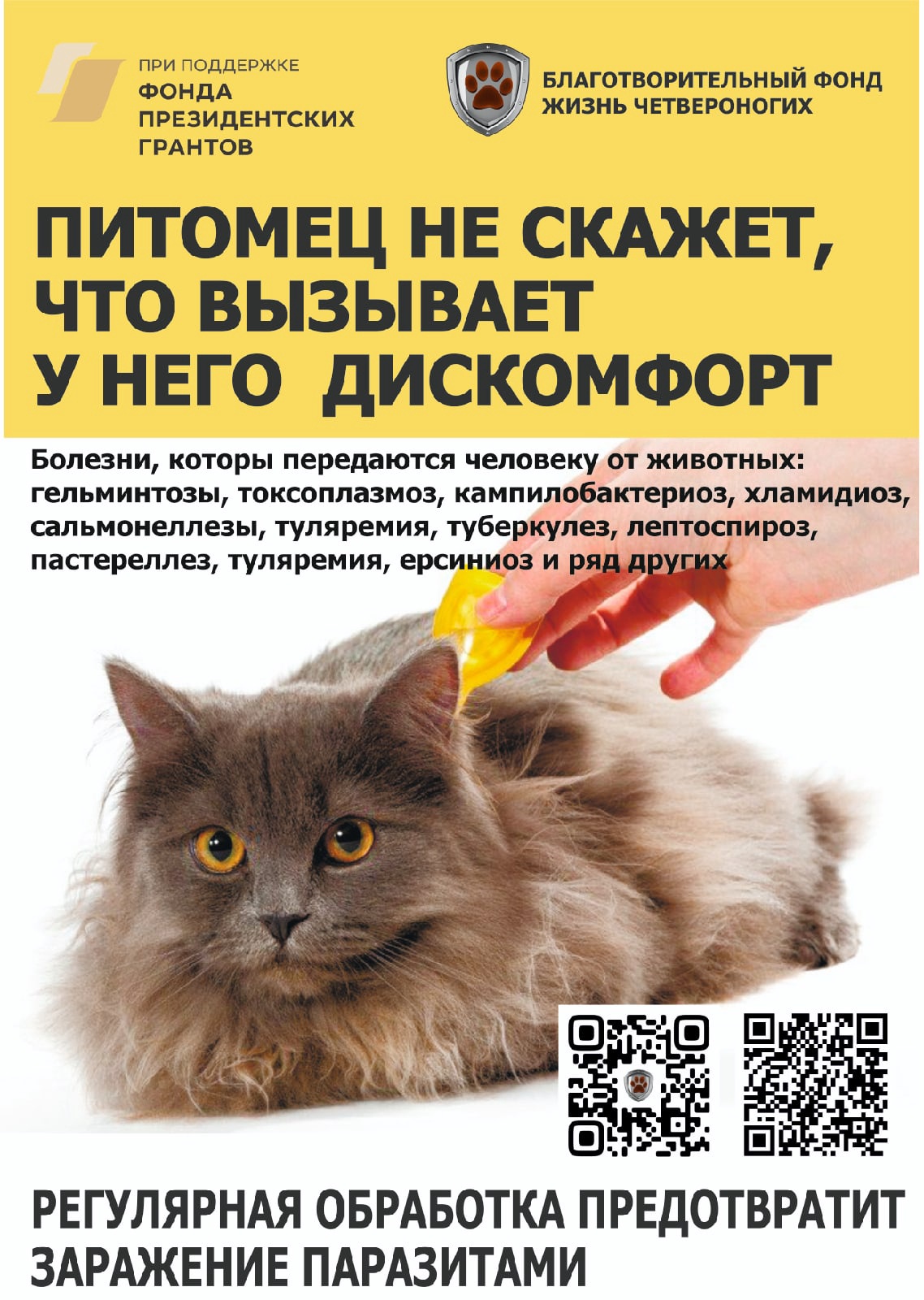 Баннер