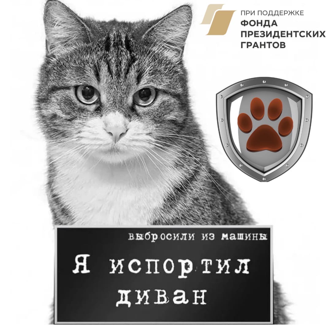 Баннер