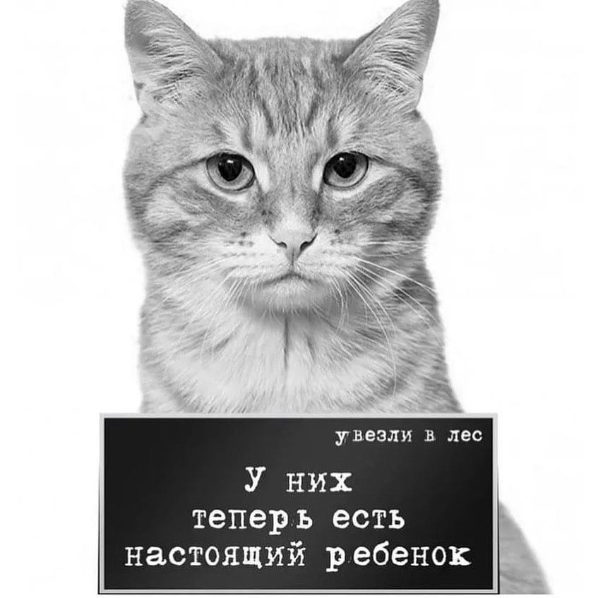 Баннер