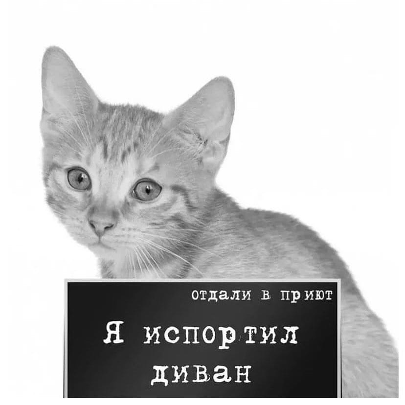 Баннер