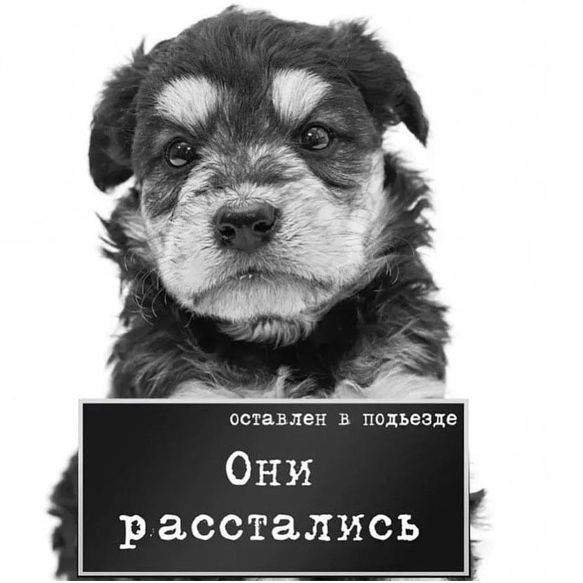 Баннер