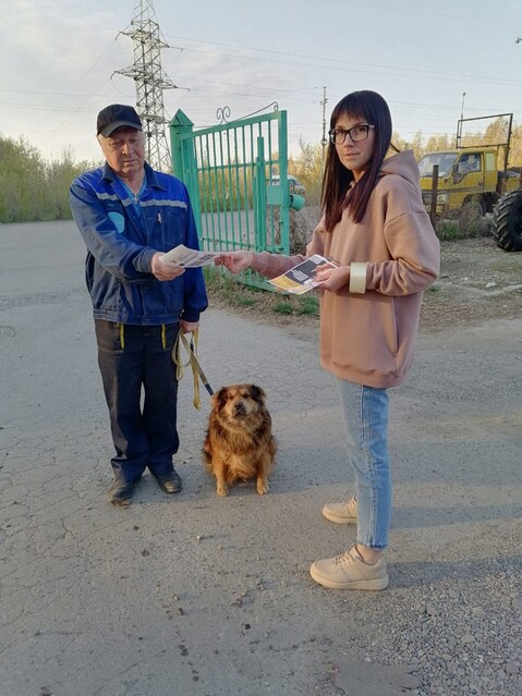 Проделанная работа