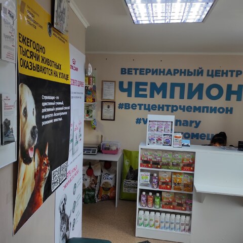 Проделанная работа