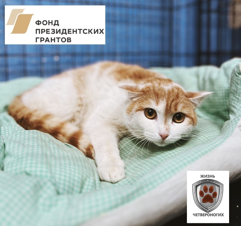 Нашла дом